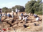 Terronha de Pinhovelo