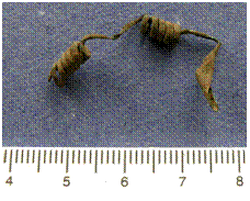 Fig. 11 – Fíbula de dupla mola em bronze (FCORV-A2 181/05)