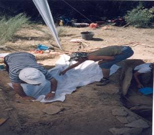 (cobertura com manta geotextil das áreas intervencionadas)