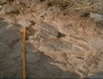 Sector “B-1” cunhal de empena de provável edificado