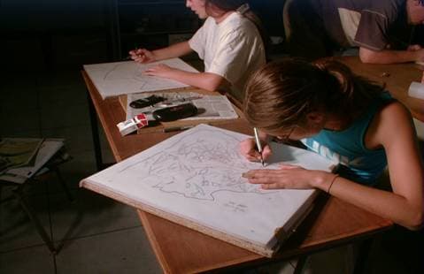 (aspecto do trabalho em gabinete, passagem para vegetal dos decalques das gravuras)