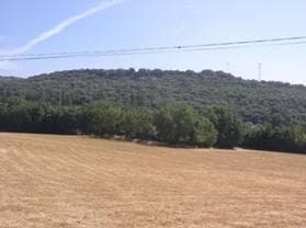 Figura 5 – Vista Oeste do local