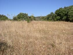 Figura 29 – Área antes dos trabalhos