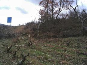 Figura 51– Corte da 1ª linha de muralhas pela construção do IP2