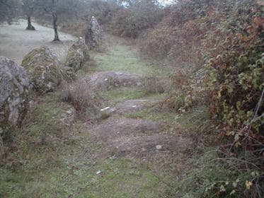 Foto 3 – Pedras fincadas a ladearem o troço de Vila Nova da Rainha
