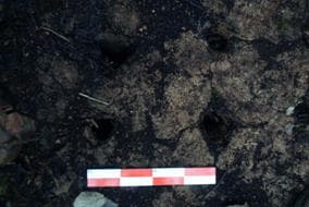 Aspecto do leito do forno