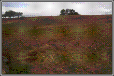 Foto 1. Perspectiva do sítio a Oeste.