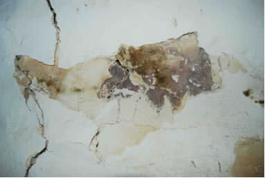 Santa face ou Pano de Verónica